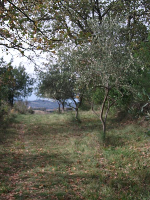 הוילה Poggio Del Conero מראה חיצוני תמונה
